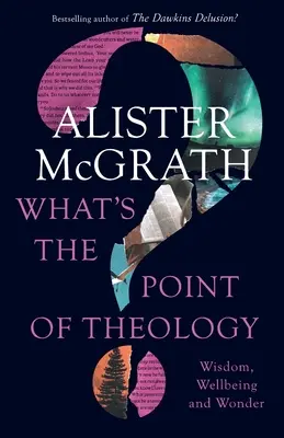 A quoi sert la théologie ? Sagesse, bien-être et émerveillement - What's the Point of Theology?: Wisdom, Wellbeing and Wonder