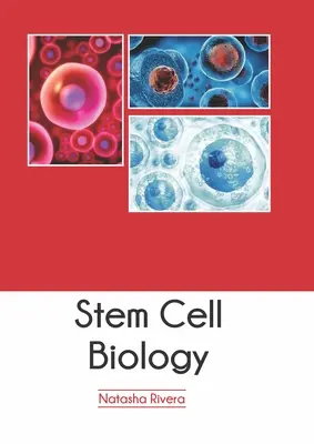 Biologie des cellules souches - Stem Cell Biology