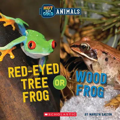 Rainette aux yeux rouges ou Grenouille des bois (Animaux Chauds et Froids) - Red-Eyed Tree Frog or Wood Frog (Hot and Cold Animals)