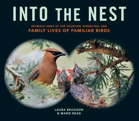 Into the Nest : Intimate Views of the Courting, Parenting, and Family Lives of Familiar Birds (Dans le nid : des vues intimes de la cour, de l'éducation et de la vie de famille d'oiseaux familiers) - Into the Nest: Intimate Views of the Courting, Parenting, and Family Lives of Familiar Birds