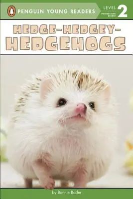 Hérisson - Hérisson - Hérisson - Hedge-Hedgey-Hedgehogs