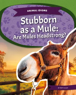 Têtu comme une mule : Les mules sont-elles têtues ? - Stubborn as a Mule: Are Mules Headstrong?