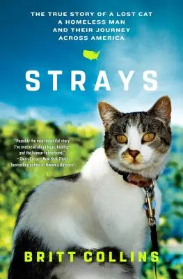 Strays : L'histoire vraie d'un chat perdu, d'un homme sans abri et de leur voyage à travers l'Amérique - Strays: The True Story of a Lost Cat, a Homeless Man, and Their Journey Across America