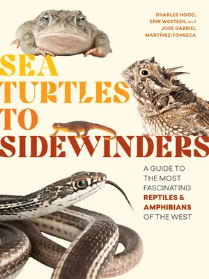 De la tortue de mer à l'épervier : Un guide des reptiles et amphibiens les plus fascinants de l'Occident - Sea Turtles to Sidewinders: A Guide to the Most Fascinating Reptiles and Amphibians of the West