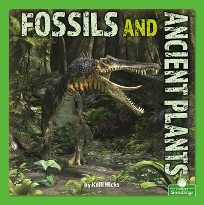 Fossiles et plantes anciennes - Fossils and Ancient Plants