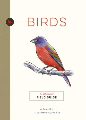 Les oiseaux : Guide de terrain illustré - Birds: An Illustrated Field Guide