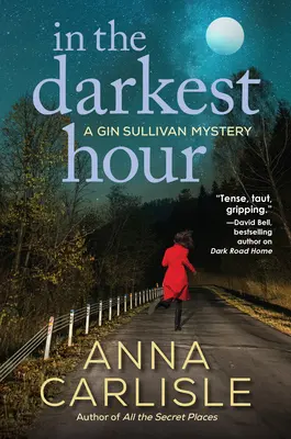 Dans l'heure la plus sombre : Un mystère de Gin Sullivan - In the Darkest Hour: A Gin Sullivan Mystery