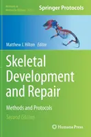 Développement et réparation du squelette : Méthodes et protocoles - Skeletal Development and Repair: Methods and Protocols