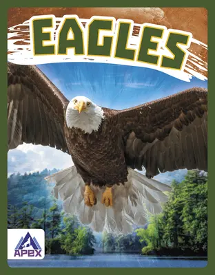 Aigles - Eagles