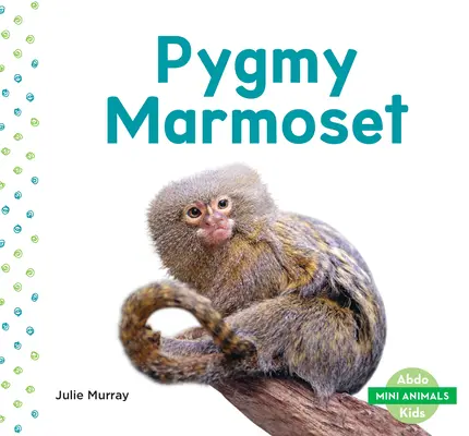 Le ouistiti pygmée - Pygmy Marmoset