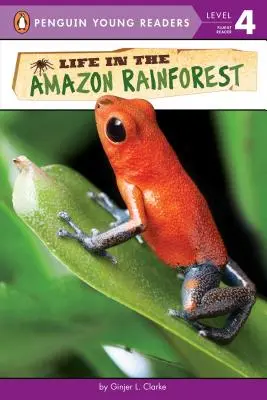 La vie dans la forêt amazonienne - Life in the Amazon Rainforest