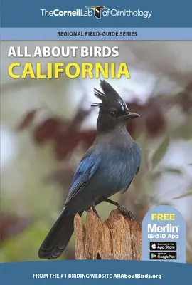 Tout sur les oiseaux Californie - All about Birds California