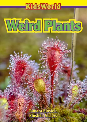 Plantes bizarres - Weird Plants