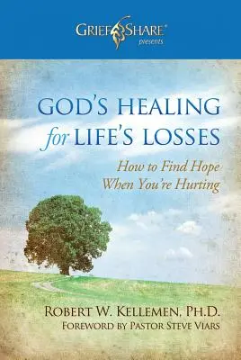 La guérison de Dieu pour les pertes de la vie : Comment trouver l'espoir quand on souffre - God's Healing for Life's Losses: How to Find Hope When You're Hurting