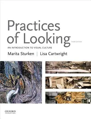 Pratiques du regard : Une introduction à la culture visuelle - Practices of Looking: An Introduction to Visual Culture