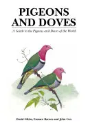 Pigeons et colombes - Guide des pigeons et colombes du monde entier - Pigeons and Doves - A Guide to the Pigeons and Doves of the World