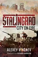 Stalingrad : La ville en feu - Stalingrad: City on Fire