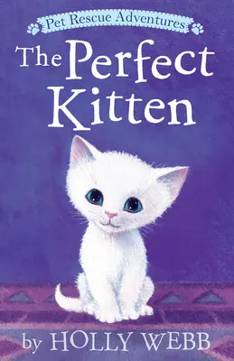 Le chaton parfait - The Perfect Kitten