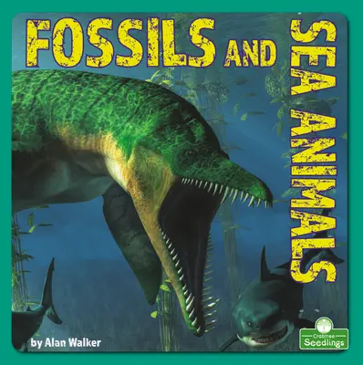 Fossiles et animaux marins - Fossils and Sea Animals