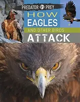 Predator Vs Prey : Comment les aigles et autres oiseaux attaquent ! - Predator Vs Prey: How Eagles and Other Birds Attack!