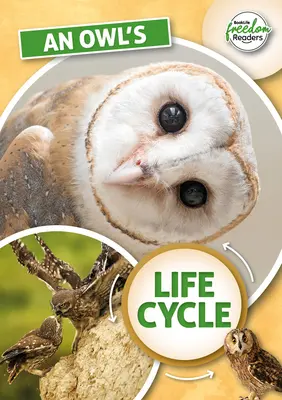 Le cycle de vie de la chouette - Owl's Life Cycle