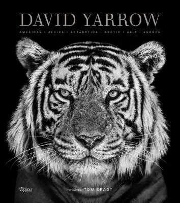 Photographie de David Yarrow : Amériques Afrique Antarctique Arctique Asie Europe - David Yarrow Photography: Americas Africa Antarctica Arctic Asia Europe
