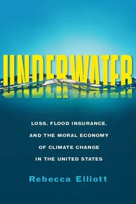 Sous l'eau : Les pertes, l'assurance contre les inondations et l'économie morale du changement climatique aux États-Unis - Underwater: Loss, Flood Insurance, and the Moral Economy of Climate Change in the United States