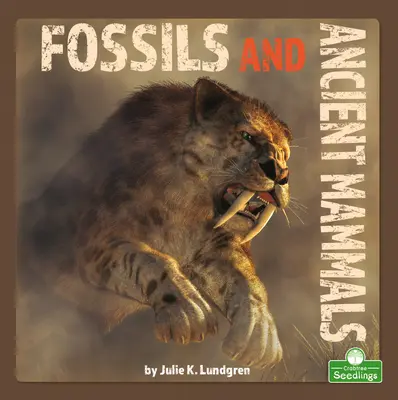 Fossiles et mammifères anciens - Fossils and Ancient Mammals