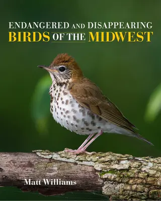 Oiseaux du Midwest en voie de disparition ou en voie d'extinction - Endangered and Disappearing Birds of the Midwest