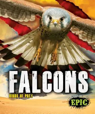 Faucons - Falcons