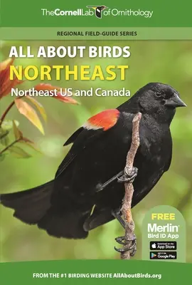 Tout sur les oiseaux du nord-est : Nord-est des Etats-Unis et du Canada - All about Birds Northeast: Northeast Us and Canada