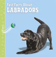 Les faits sur les labradors - Fast Facts About Labradors