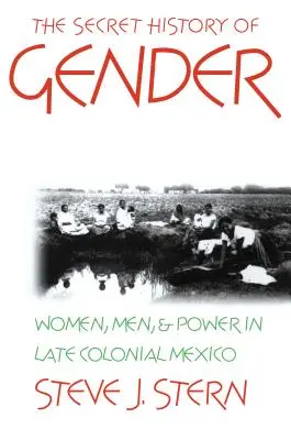 L'histoire secrète du genre : Les femmes, les hommes et le pouvoir dans le Mexique de la fin de la période coloniale - The Secret History of Gender: Women, Men, and Power in Late Colonial Mexico