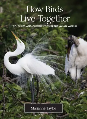 Comment les oiseaux vivent ensemble : Colonies et communautés dans le monde aviaire - How Birds Live Together: Colonies and Communities in the Avian World