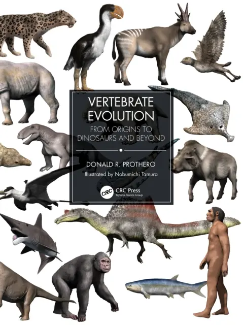 L'évolution des vertébrés : Des origines aux dinosaures et au-delà - Vertebrate Evolution: From Origins to Dinosaurs and Beyond