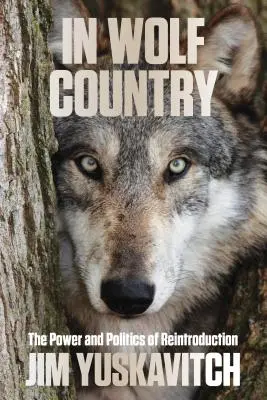 Au pays des loups : Le pouvoir et la politique de la réintroduction - In Wolf Country: The Power and Politics of Reintroduction