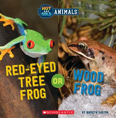 Rainette à yeux rouges ou grenouille des bois (Animaux chauds et froids) - Red-Eyed Tree Frog or Wood Frog (Hot and Cold Animals)