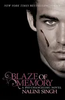 L'embrasement de la mémoire - Livre 7 - Blaze of Memory - Book 7