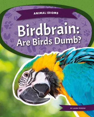 Cerveau d'oiseau : Les oiseaux sont-ils bêtes ? - Birdbrain: Are Birds Dumb?