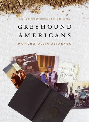 Lévrier américain - Greyhound Americans