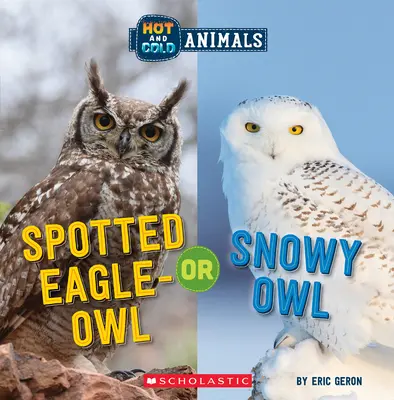 Grand-duc tacheté ou Harfang des neiges (Animaux chauds et froids) - Spotted Eagle-Owl or Snowy Owl (Hot and Cold Animals)