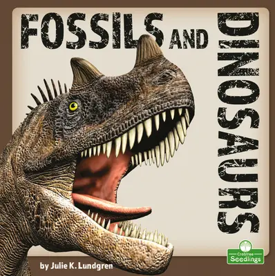 Fossiles et dinosaures - Fossils and Dinosaurs