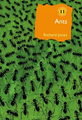 Les fourmis : Les insectes sociaux par excellence - Ants: The Ultimate Social Insects