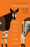 Ce que vous pouvez voir d'ici - Le phénomène de best-seller « chaleureux et curieux ». - What You Can See From Here - The 'warm and curious' bestselling phenomenon