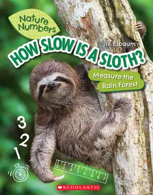 La lenteur du paresseux (Les chiffres de la nature) : Mesurer la forêt tropicale - How Slow Is a Sloth? (Nature Numbers): Measure the Rainforest