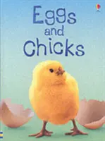 Œufs et poussins - Eggs and Chicks