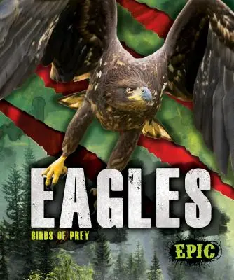 Aigles - Eagles