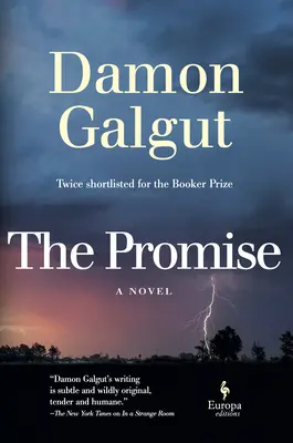 La promesse : un roman (lauréat du Booker Prize) - The Promise: A Novel (Booker Prize Winner)