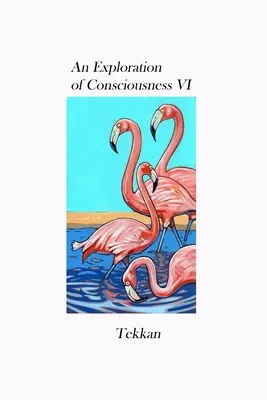 Une exploration de la conscience VI - An Exploration of Consciousness VI