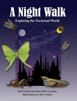 Une promenade nocturne : Explorer le monde nocturne - A Night Walk: Exploring the Nocturnal World